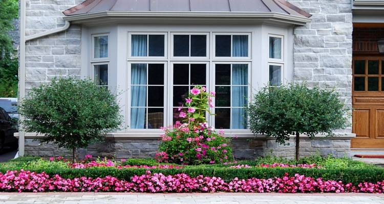 bay window plants