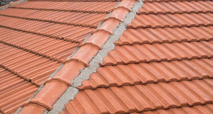 red roof with ridge tiles