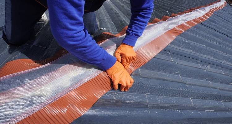 ridge membrane