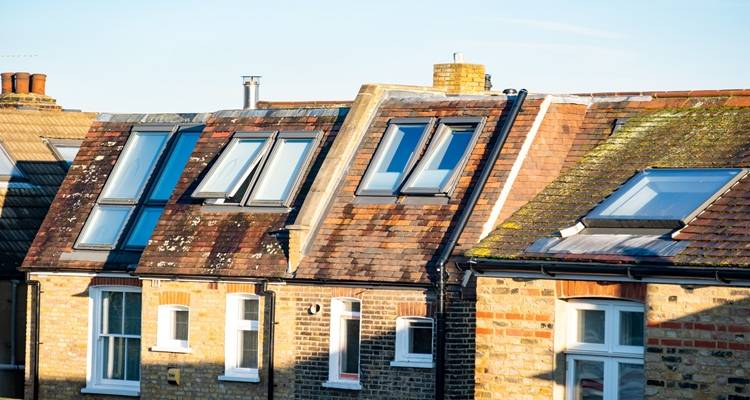 veluxes on roof